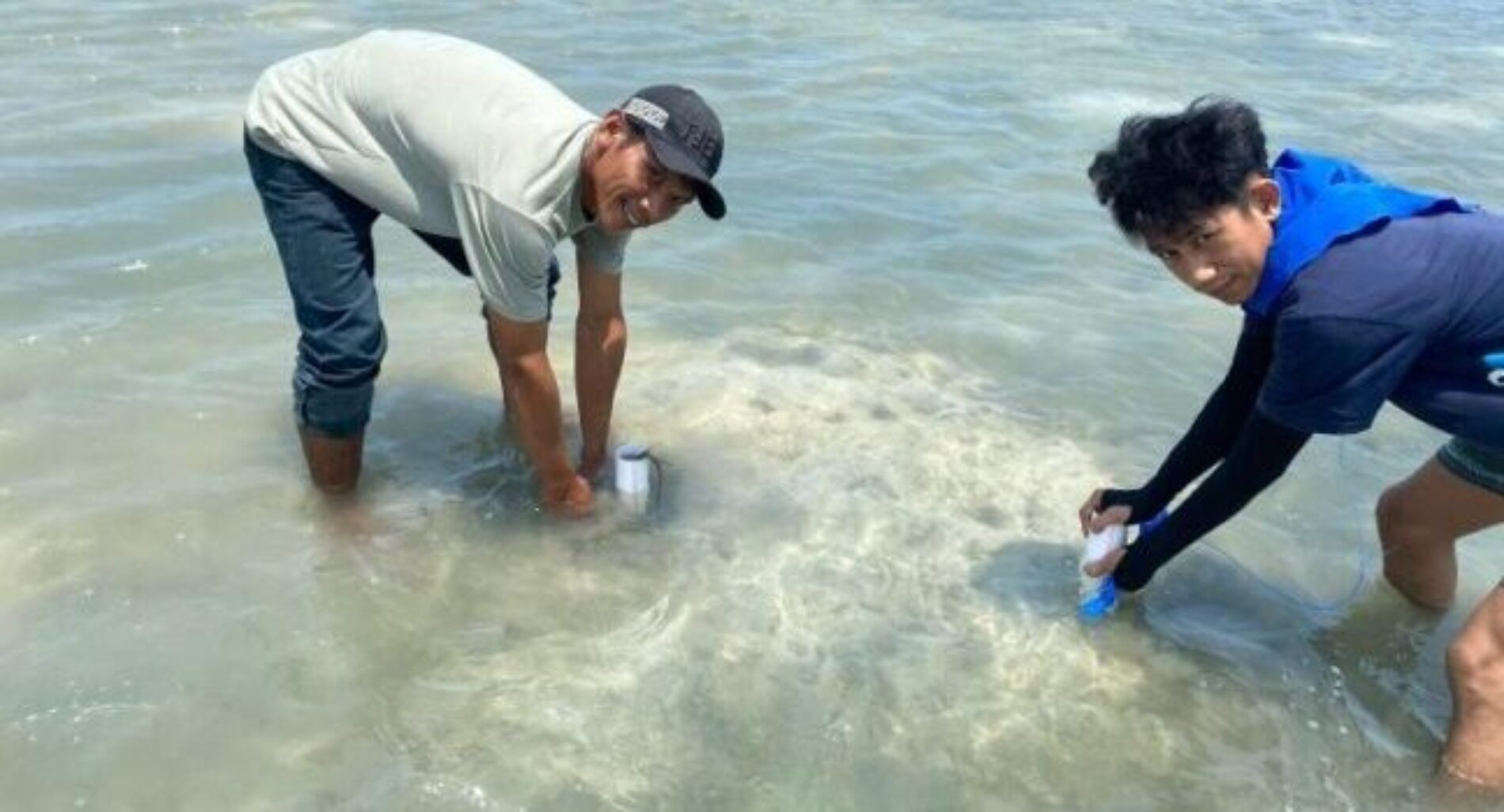 Dosen UMI dan Mahasiswa melalui PKM melaksanakan Kegiatan Transplantasi Lamun