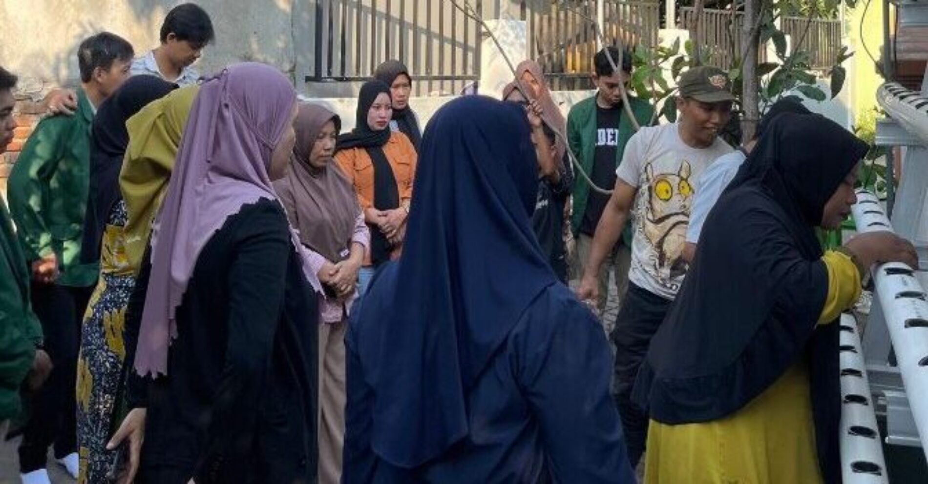 Tim PKM Fakultas Pertanian UMI Melakukan Pendampingan Modifikasi Sayuran Hidroponik Menjadi Produk Mie Sayur