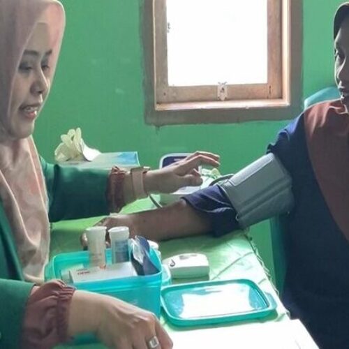 Pemeriksaan Status Kesehatan dan Pelatihan Senam Lansia di Desa Borisallo