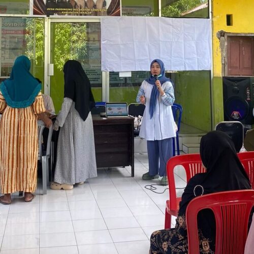 Dosen FK UMI Makassar Lakukan Pengabdian kepada Masyarakat Deteksi Dini Tumbuh Kembang Anak di Desa Paddinging Takalar