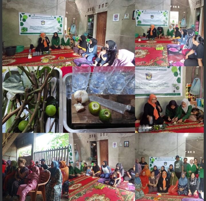 Penerapan Bumbu Kuliner Sebagai Pengatur Pertumbuhan (ZPT) dalam Budidaya Benih Tanaman Hortikultura Diantara Kolektif Petani Seruni di Desa Pucak, Kecamatan Tompobulu, Kabupaten Maros