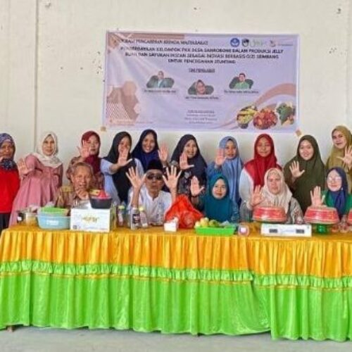 Tim dosen UMI: Pemberdayaan Kelompok PKK Desa Sandrobone dalam Produksi Jelly Buah danSayuran Instan Berbasis Gizi Seimbang untuk Pencegahan Stunting