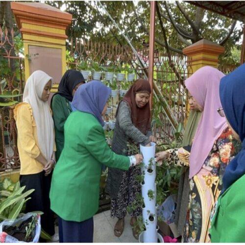 Edukasi Teknologi Vertikultur Tanaman Sayuran Pada Lahan Pekarangan Bagi Majelis Taklim Nurhidayah Di Kelurahan Pai Kota Makassar