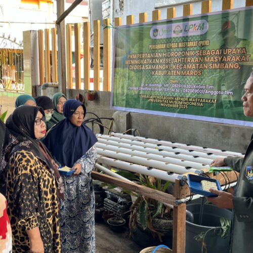 PKM Pertanian Hidroponik Sebagai Upaya Meningkatkan Kesejahteraan Masyarakat Di Desa Samangki, Kecamatan Simbang, Kabupaten Maros