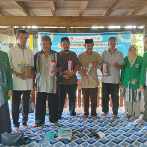 Penerapan Teknologi Probiotik dalam Pakan untuk Meningkatkan Produktivitas Budidaya Ikan Nila