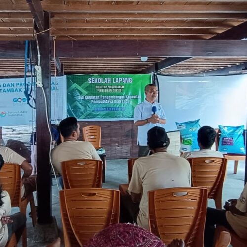 Penerapan Teknologi Probiotik pada Penggelondongan Udang Vaname