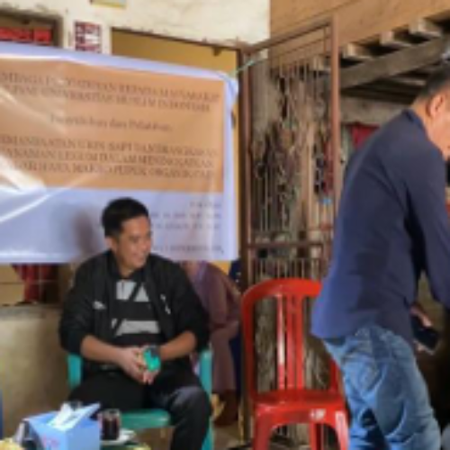 TEKNIK APLIKASI PUPUK ORGANIK CAIR DARI URIN SAPI DANBRANGKASAN TANAMAN LEGUM PADA TANAMAN JAGUNG DI DESACAMPAGAYA KABUPATEN TAKALAR